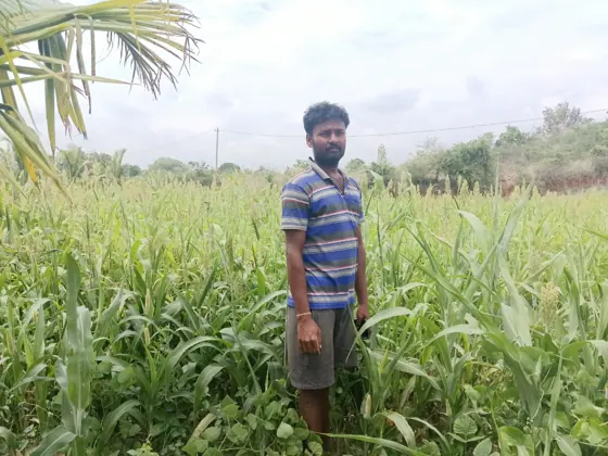 Natural farming photograph
